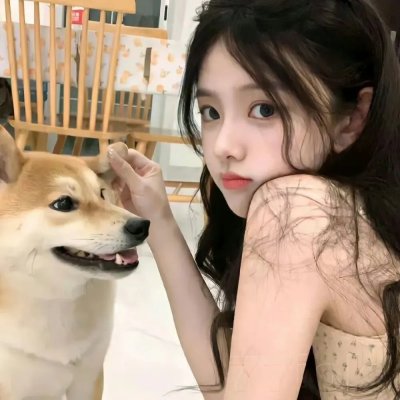 罪网